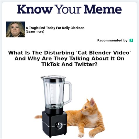 catinblender|What Is The Disturbing Cat Blender Video And Why Are They。